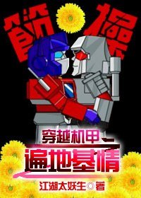 穿越機甲之遍地基情/當裝逼犯遇到裝逼犯